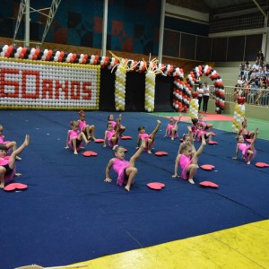 FESTIVAL DE GINÁSTICA 2017