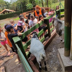 FAZENDO FAZENDA  - 2024