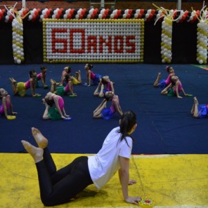 FESTIVAL DE GINÁSTICA 2017