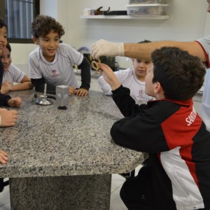 AULA NO LABORATÓRIO SOBRE ANIMAIS VERTEBRADOS E INVERTEBRADOS