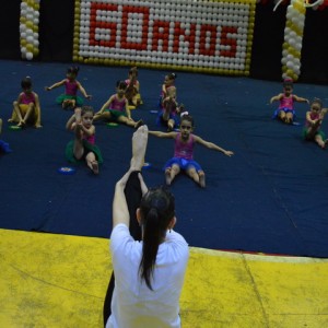 FESTIVAL DE GINÁSTICA 2017