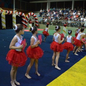 FESTIVAL DE GINÁSTICA 2017