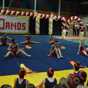 FESTIVAL DE GINÁSTICA 2017