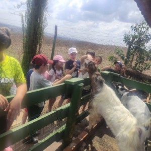 CSI - PASSEIO FAZENDO FAZENDA 2022