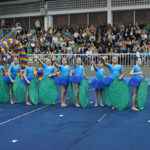 13° Festival de Ginástica Geral - Colégio Santo Inácio