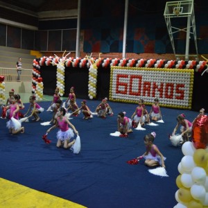 FESTIVAL DE GINÁSTICA 2017