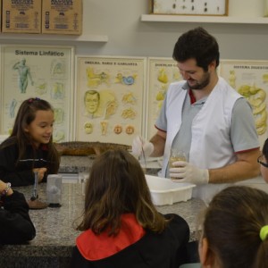 AULA NO LABORATÓRIO SOBRE ANIMAIS VERTEBRADOS E INVERTEBRADOS