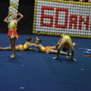 FESTIVAL DE GINÁSTICA 2017