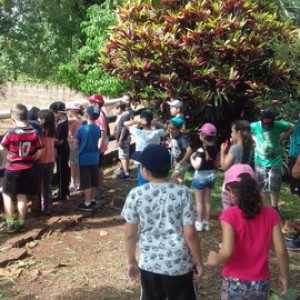 FAZENDO FAZENDA 2º ANO -  2018