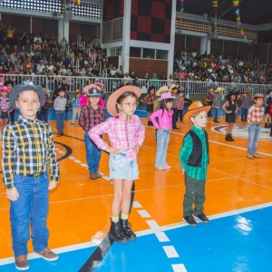 FESTA JUNINA - É O ARRAIÁ DO SANTÃO 2024