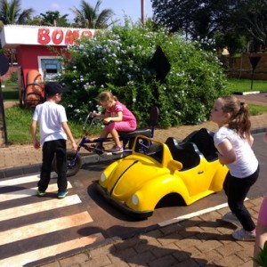 FAZENDO FAZENDA 1º ANO -  2018