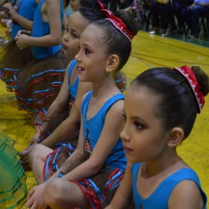 FESTIVAL DE GINÁSTICA 2017