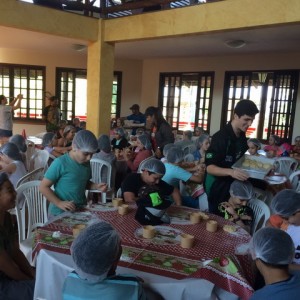 FAZENDO FAZENDA 2017