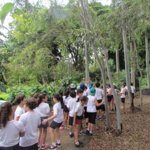 DDC - DIA DE CONVIVÊNCIA 2017