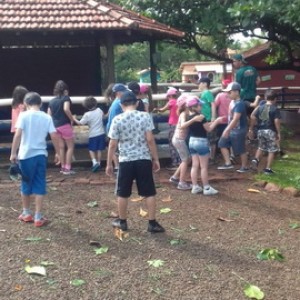 FAZENDO FAZENDA 2º ANO -  2018