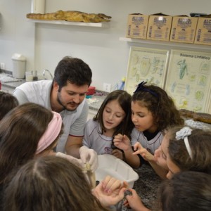 AULA NO LABORATÓRIO SOBRE ANIMAIS VERTEBRADOS E INVERTEBRADOS