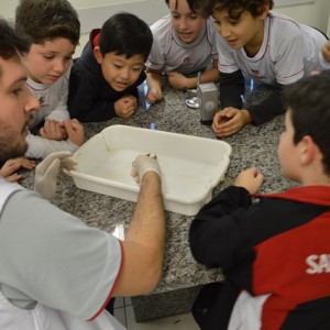 AULA NO LABORATÓRIO SOBRE ANIMAIS VERTEBRADOS E INVERTEBRADOS