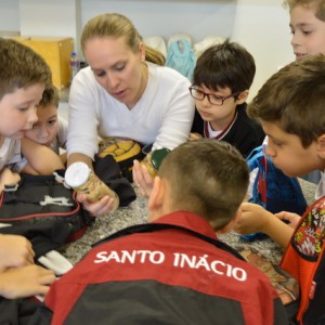 AULA NO LABORATÓRIO SOBRE ANIMAIS VERTEBRADOS E INVERTEBRADOS