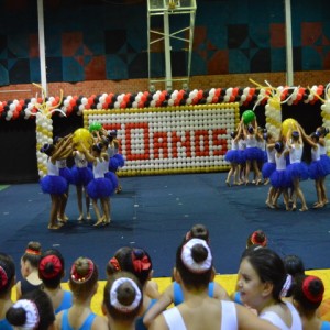 FESTIVAL DE GINÁSTICA 2017