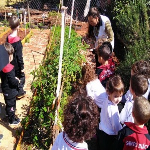 VISITA AO LABORATÓRIO: EXPLORANDO BICHINHOS DE JARDIM