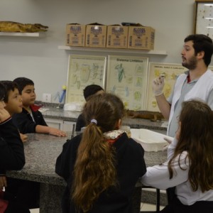 AULA NO LABORATÓRIO SOBRE ANIMAIS VERTEBRADOS E INVERTEBRADOS