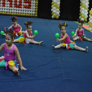 FESTIVAL DE GINÁSTICA 2017