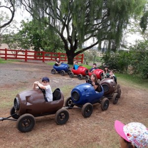 FAZENDO FAZENDA 2º ANO -  2018