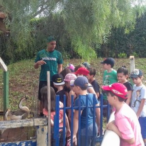 FAZENDO FAZENDA 2º ANO -  2018