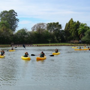 VIAGEM DE ESTUDOS AO SÍTIO DO CARROÇÃO 2018