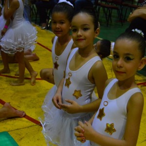 FESTIVAL DE GINÁSTICA 2017