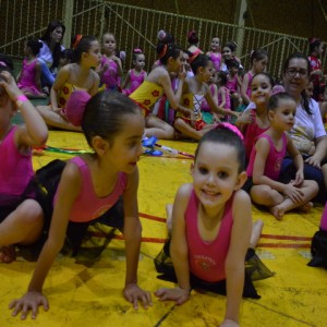 FESTIVAL DE GINÁSTICA 2017