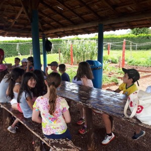 FAZENDO FAZENDA 2º ANO -  2018