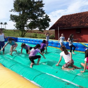 FAZENDO FAZENDA 2º ANO -  2018