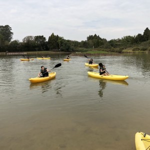 VIAGEM DE ESTUDOS AO SÍTIO DO CARROÇÃO 2018