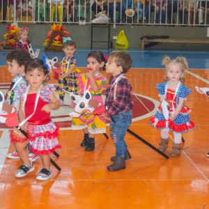 FESTA JUNINA - É O ARRAIÁ DO SANTÃO 2024