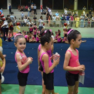 FESTIVAL DE GINÁSTICA 2017