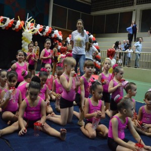 FESTIVAL DE GINÁSTICA 2017