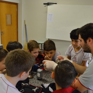 AULA NO LABORATÓRIO SOBRE ANIMAIS VERTEBRADOS E INVERTEBRADOS