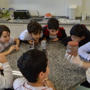 AULA NO LABORATÓRIO SOBRE ANIMAIS VERTEBRADOS E INVERTEBRADOS