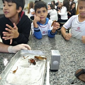 VISITA AO LABORATÓRIO DE CIÊNCIAS