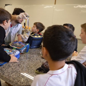 AULA NO LABORATÓRIO SOBRE ANIMAIS VERTEBRADOS E INVERTEBRADOS