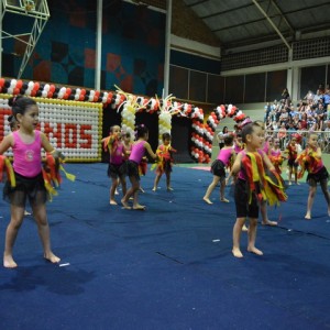 FESTIVAL DE GINÁSTICA 2017