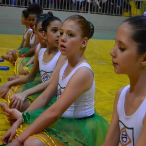 FESTIVAL DE GINÁSTICA 2017