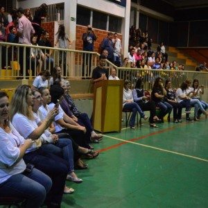 FESTIVAL DE GINÁSTICA 2017