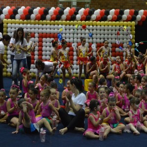 FESTIVAL DE GINÁSTICA 2017