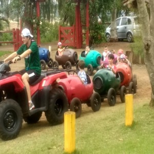 FAZENDO FAZENDA 2017