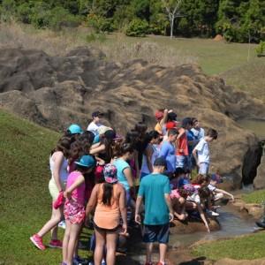 VIAGEM DE ESTUDOS AO SÍTIO DO CARROÇÃO