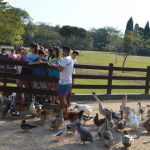 VIAGEM DE ESTUDOS AO SÍTIO DO CARROÇÃO