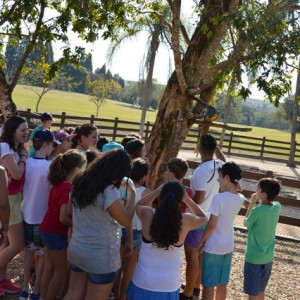 VIAGEM DE ESTUDOS AO SÍTIO DO CARROÇÃO