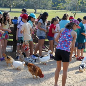 VIAGEM DE ESTUDOS AO SÍTIO DO CARROÇÃO